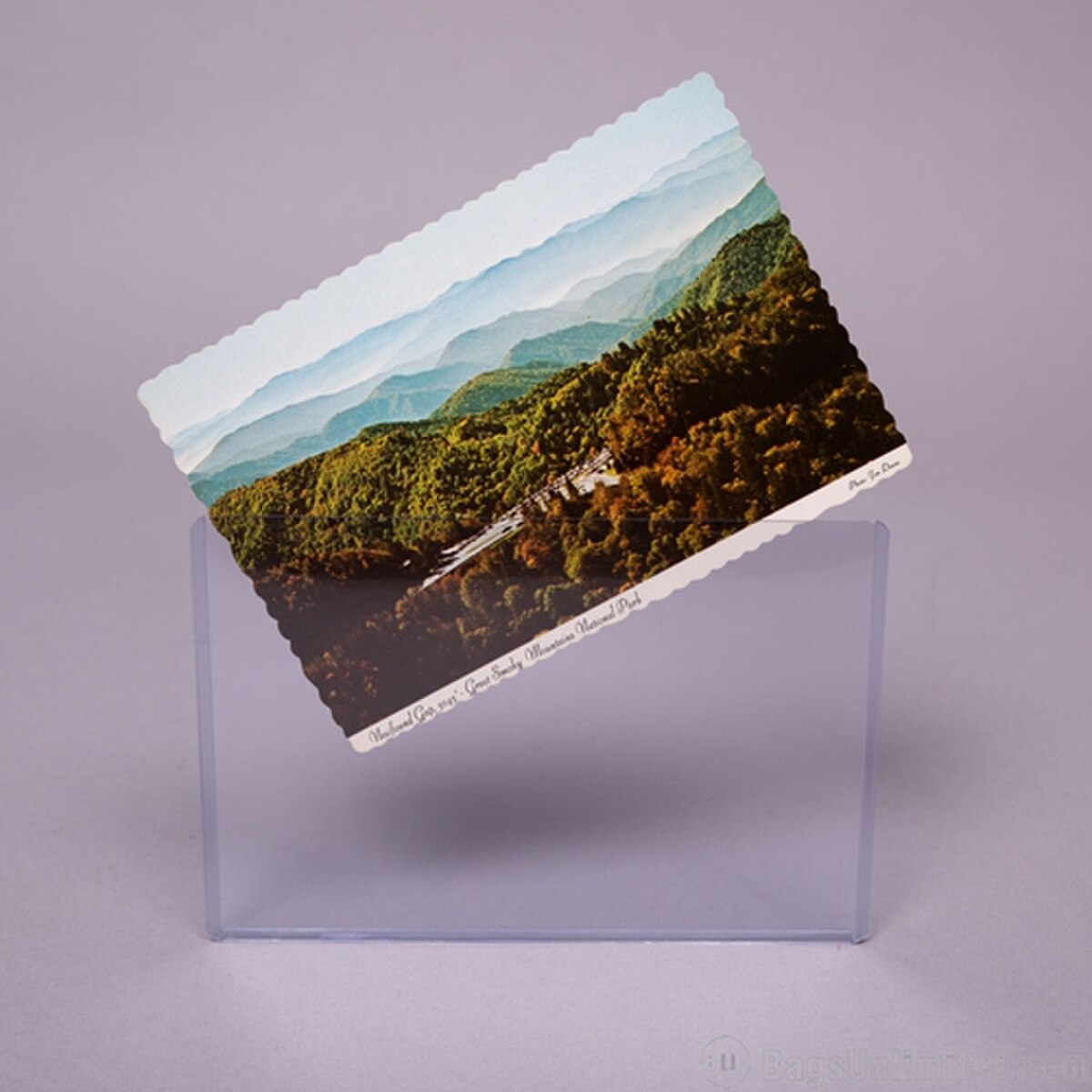 Toploader 6 x 4" Rigid Vinyl.